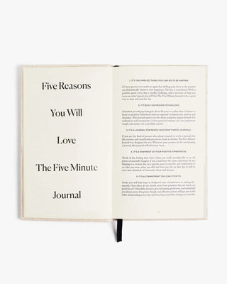 The Five Minute Journal | Apple Green