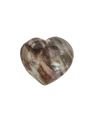 Petrified Wood Heart